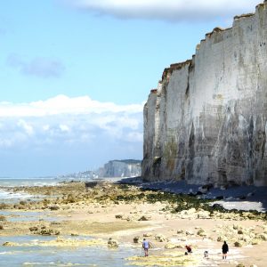 Atelier Jules Verne de Florence Lemiegre - Assigny 76 – Normandie - Criel-sur mer - Falaises