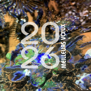 VŒUX 2026 - Atelier Jules Verne de Florence Lemiegre